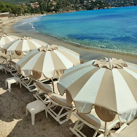 Pramousquier Un Coin De Paradis 3 étoiles,entre Et Forêt Apartamento