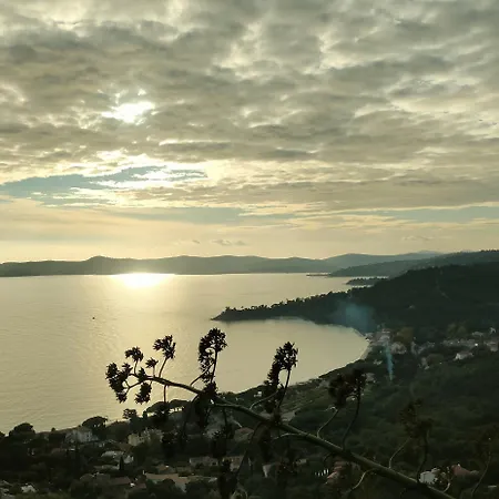Pramousquier Un Coin De Paradis 3 étoiles,entre Et Forêt Le Lavandou
