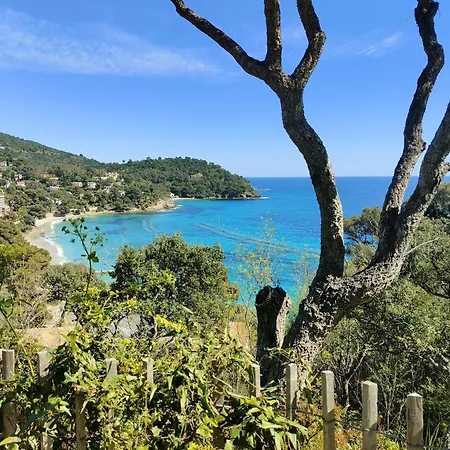 Pramousquier Un Coin De Paradis 3 étoiles,entre Et Forêt * Le Lavandou