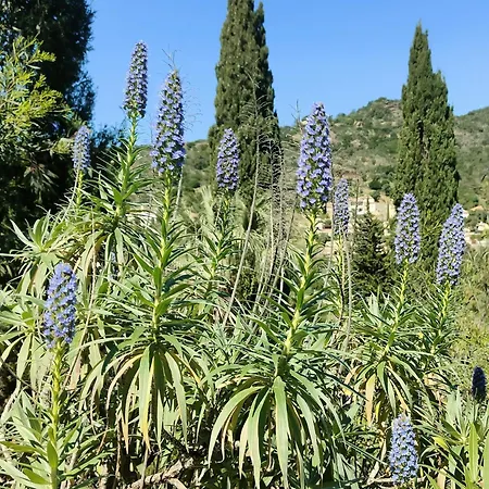 Pramousquier Un Coin De Paradis 3 étoiles,entre Et Forêt * Le Lavandou