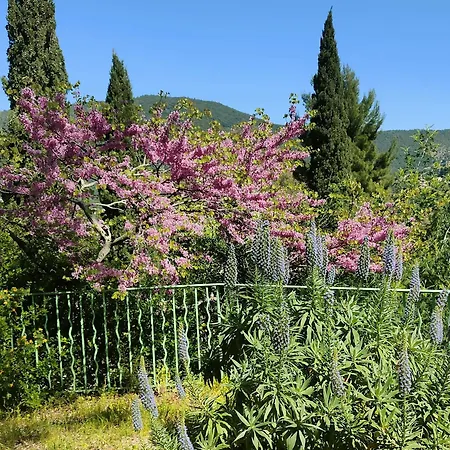 Apartamento Pramousquier Un Coin De Paradis 3 étoiles,entre Et Forêt